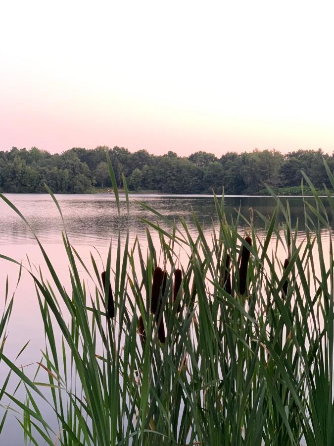 Ferienhaus Seestern Am Harkebruegger See Mit Sauna Und Kamin Barssel  Kültér fotó